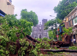 Hanoi mayor urges post-storm recovery efforts 