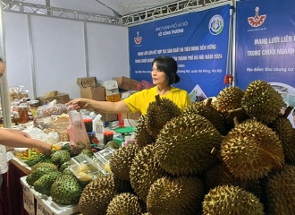 Connecting agricultural production and consumption networks in Hanoi 