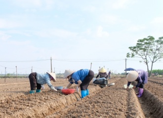 Hanoi aims to boost agriculture after typhoon strikes