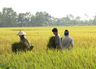 Cultivating inclusive and transformational change in agriculture