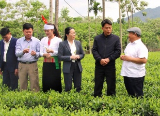 Hanoi Farmers Association drives change by innovation and collaboration