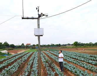 Hanoi's digital transformation: boosting agriculture efficiency