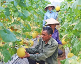 Hanoi promotes circular agriculture through technology transfer