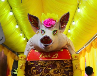 Hanoi: Ancient pig procession festival revived 