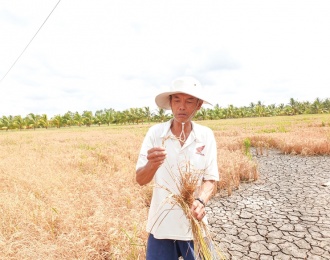 Prime Minister urges actions as salinization begins in Mekong Delta 