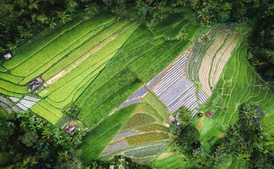 To address climate change, look to nature first