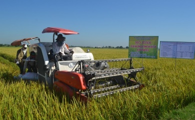 Vietnam's agricultural sector on track to realize export targets