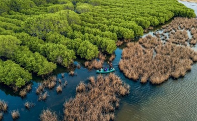 Vietnam to plant 20,000 hectares of forest in response to climate change