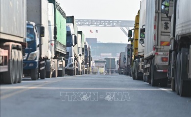 Vietnam Gov’t urges businesses to limit trucks to border gates with China