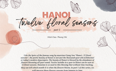 [Infographic]Hanoi - twelve floral seasons - Part 1