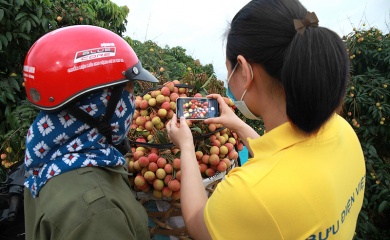 Hanoi promotes consumption of agricultural products on e-commerce sites