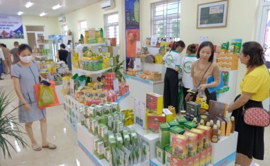 Hanoi launches safe farm produce showroom in Ha Dong District