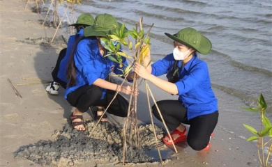 Vietnam’s agriculture most vulnerable to climate change: UNDP