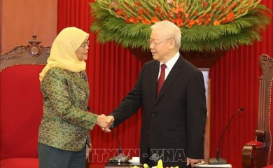 Vietnam gives priority to strategic partnership with Singapore