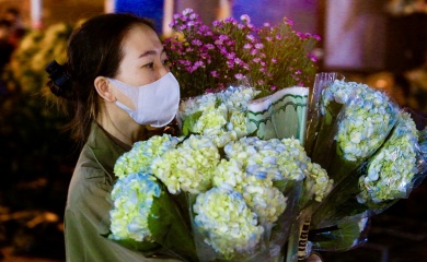 Bustling Quang Ba Flower Market before Vietnamese Women’s Day