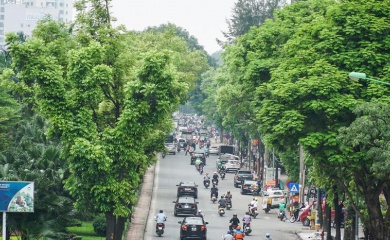 Long-term vision in planning required for more green urban space in Vietnam