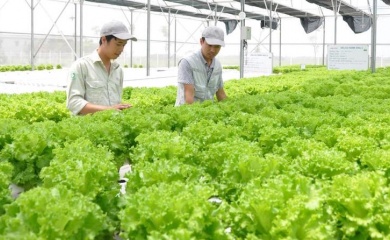 Hanoi lures investment in organic agriculture