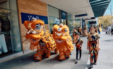 Overseas Vietnamese eagerly await Tet and spring