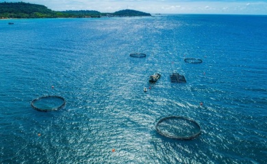 Norway strengthens support to Vietnam's sustainable marine aquaculture