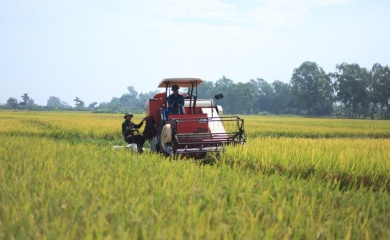 Vietnam to boost rice exports amid new global developments