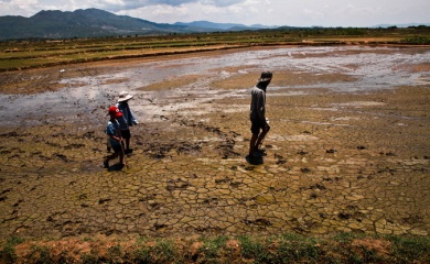 Health sector joins efforts against climate change 