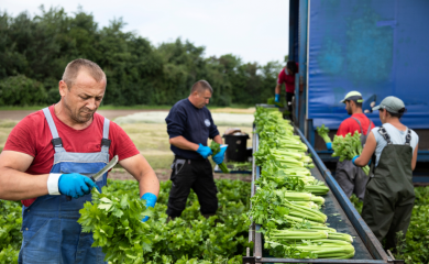 Farming for the Future: Danish expertise for Vietnam’s green agriculture 