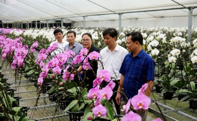 Bringing smart farming closer to Hanoi farmers