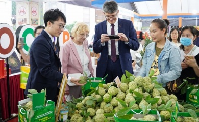 Hanoi unveils investment and trade promotion program