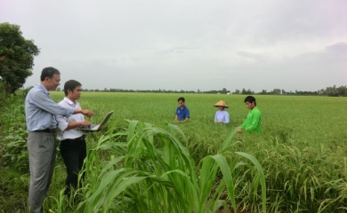 Australia’s support helps Vietnam promote sustainable agriculture  