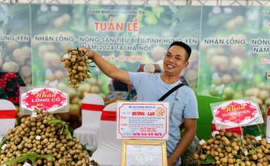 Longan and Farm Produce Week underway in Hanoi