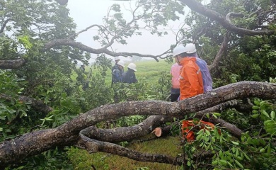 EVNHANOI to maintain power supply during super typhoon 