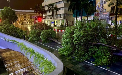 Hanoi streets left in disarray after super typhoon swept away