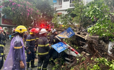 Hanoi mayor urges mobilized forces to overcome aftermaths of storm