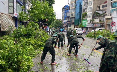 Hanoi to have no overlap between greenery and underground infrastructure 