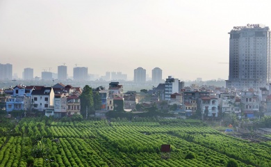 Capital Law 2024 enables Hanoi's sustainable agricultural growth