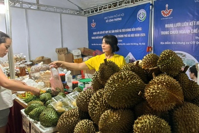 Connecting agricultural production and consumption networks in Hanoi 