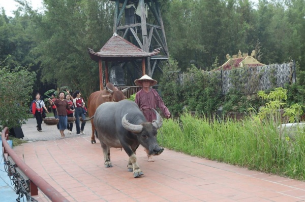 The Quintessence of Tonkin: Honoring traditional cultural values of northern Vietnam